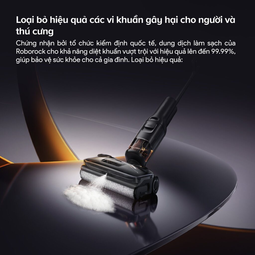 Roborock F25 ACE PRO 6