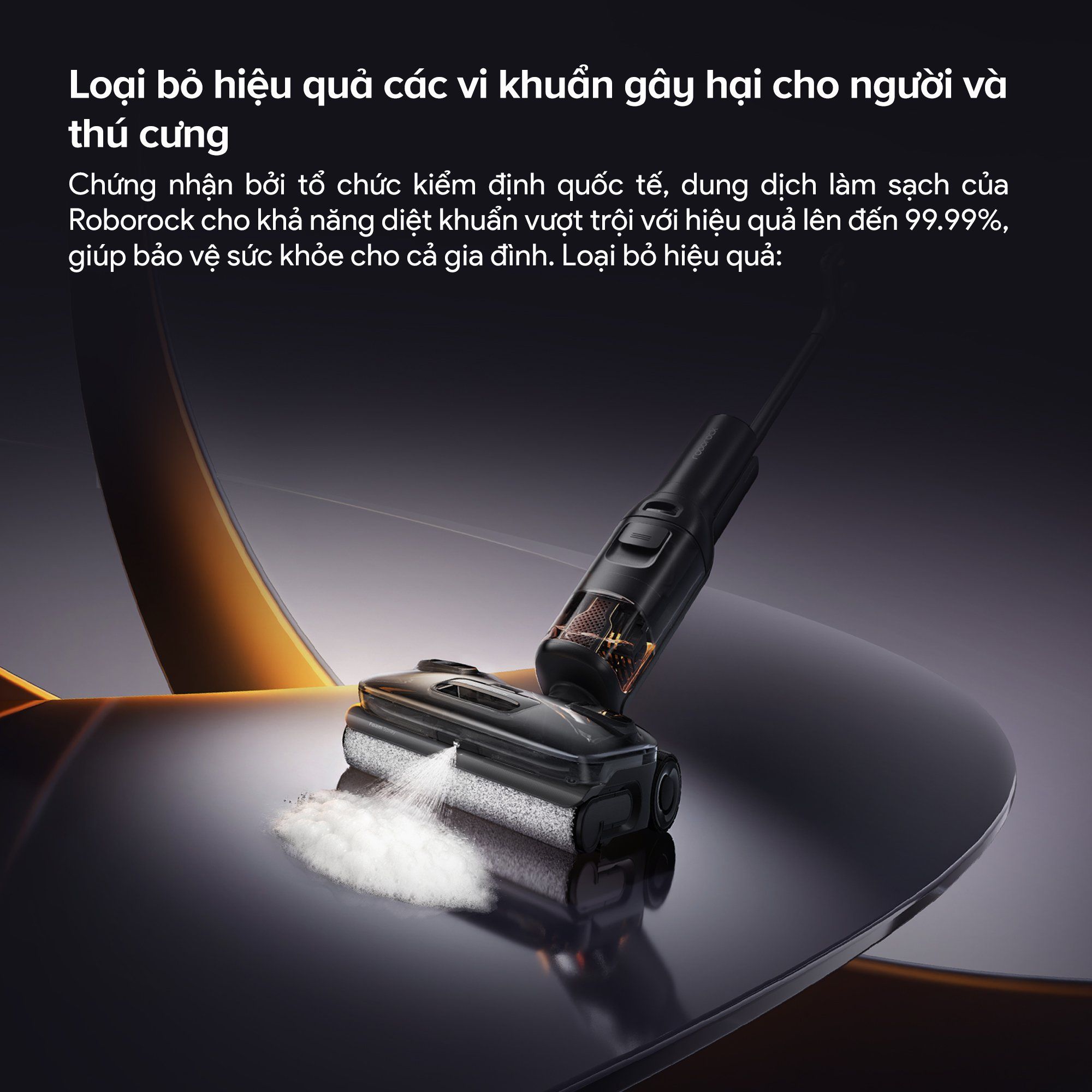 Roborock F25 ACE PRO 6